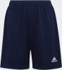 Adidas Kids adidas Entrada 22 Voetbalbroekje Kids Donkerblauw Wit online kopen