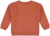 TRIXIE ! Jongens Sweater Maat 104 Bruin Katoen online kopen