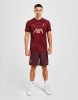 Nike Liverpool FC Strike Elite Dri FIT ADV Knit voetbalshorts voor heren Rood online kopen