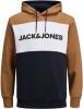 Jack & Jones Hoodie JJELOGO LOGO LOGO BLOCKIN LOGO BLOCKIN SWEAT HOOD online kopen