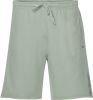 Scotch & Soda regular fit sweatshort van biologisch katoen mintgroen online kopen